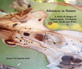 Abstracts in Nature A series of images of Agarve plants, Eucalyptus bark, Rocks and Water Richard E W Banfield ARPS book cover