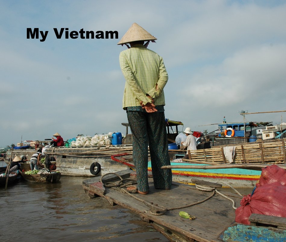 View My Vietnam by Stuart McRae