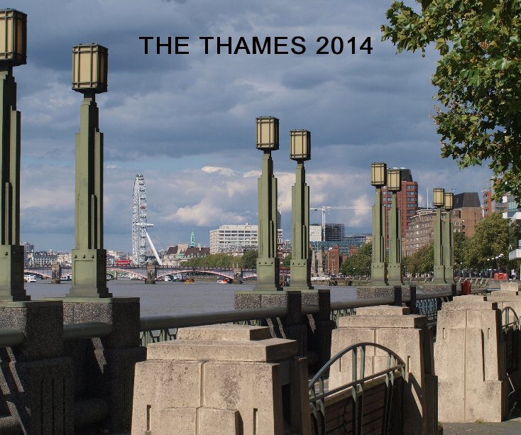View The Thames 2014 by Dennis Orme