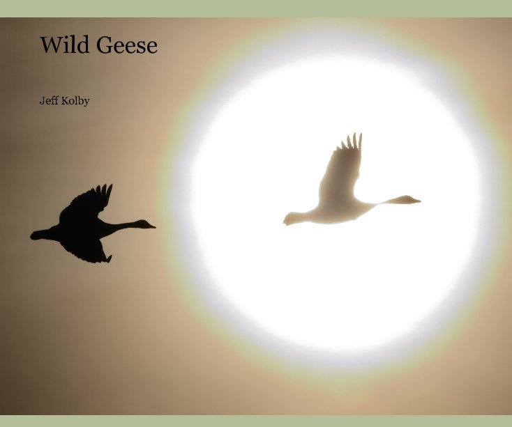 View Wild Geese by Jeff Kolby