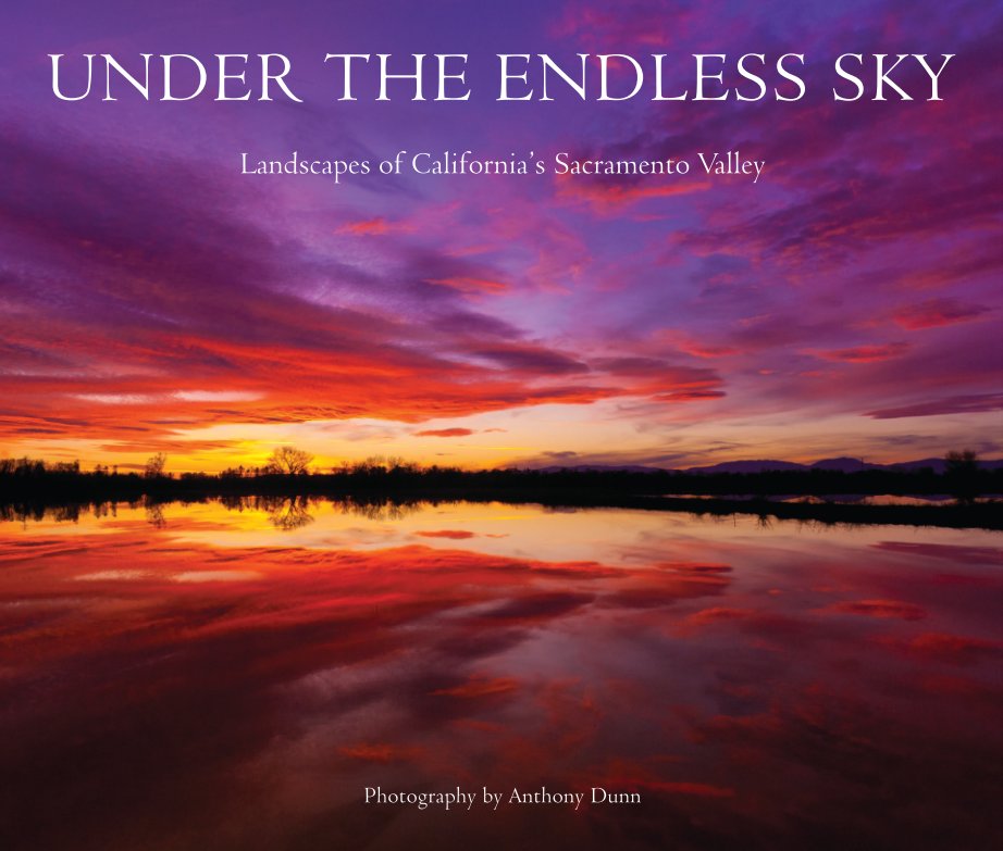View Under the Endless Sky by Anthony Dunn