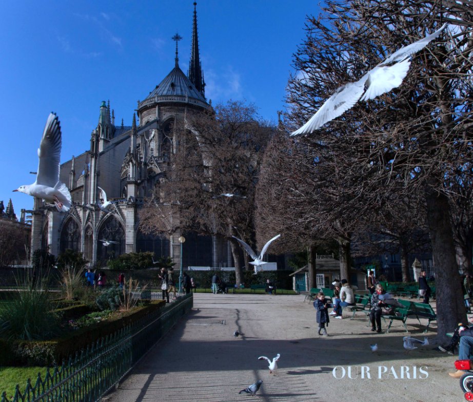 View Our Paris by Katya Chilingiri