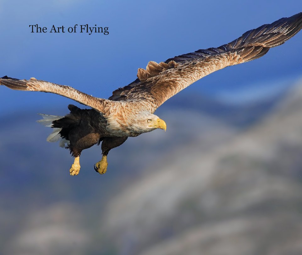 Ver The Art of Flying por Michael Gehrisch