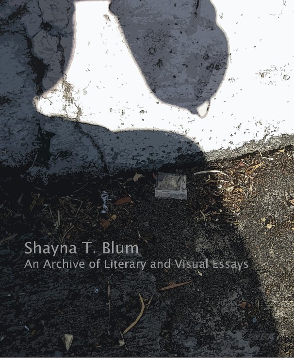 View An Archive of Literal and Visual Essays by Shayna T. Blum