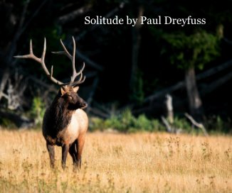 Solitude by Paul Dreyfuss book cover