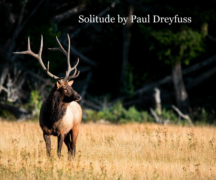 View Solitude by Paul Dreyfuss by Paul Dreyfuss