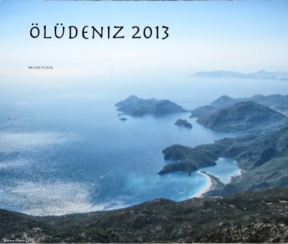 Ölüdeniz 2013 book cover