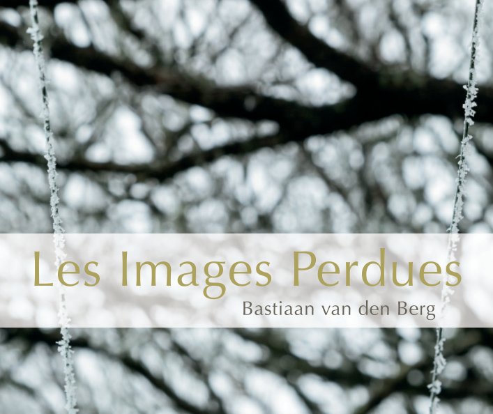 View Les images perdues by Bastiaan van den Berg