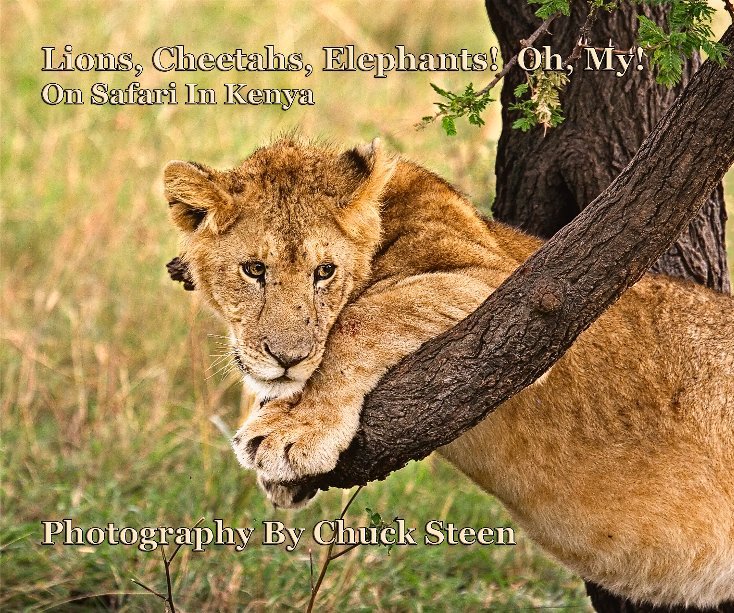 View Lions, Cheetahs, Elephants! Oh, My! by Chuck Steen