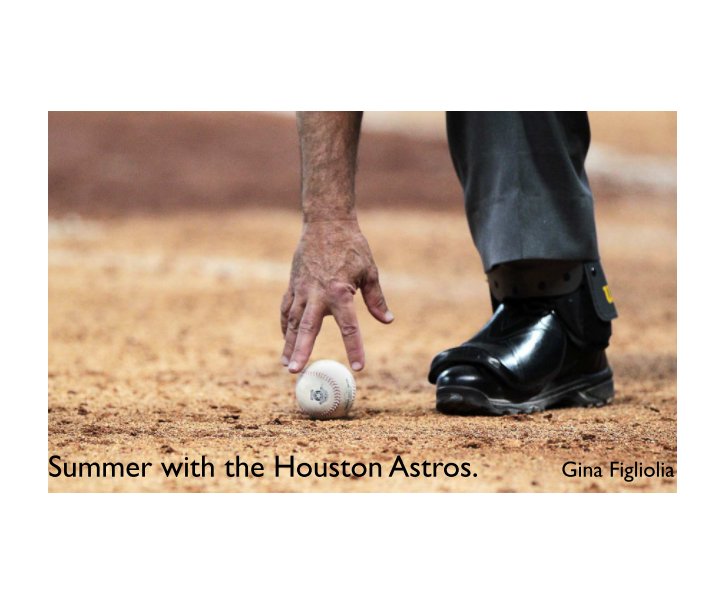 View Summer with the Houston Astros by Gina Figliolia