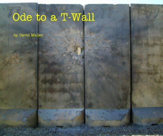 Ode to a T-Wall book cover