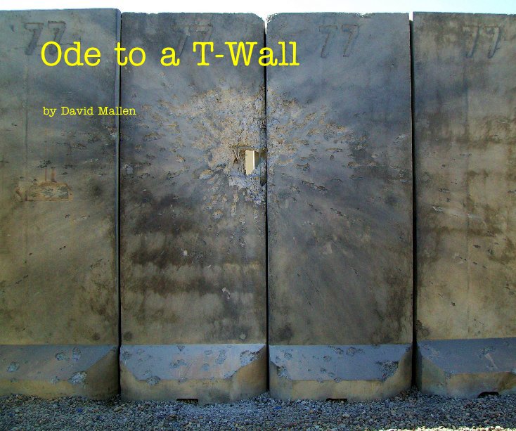 View Ode to a T-Wall by David Mallen