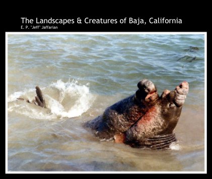 The Landscapes & Creatures of Baja, California E. P. "Jeff" Jaffarian book cover