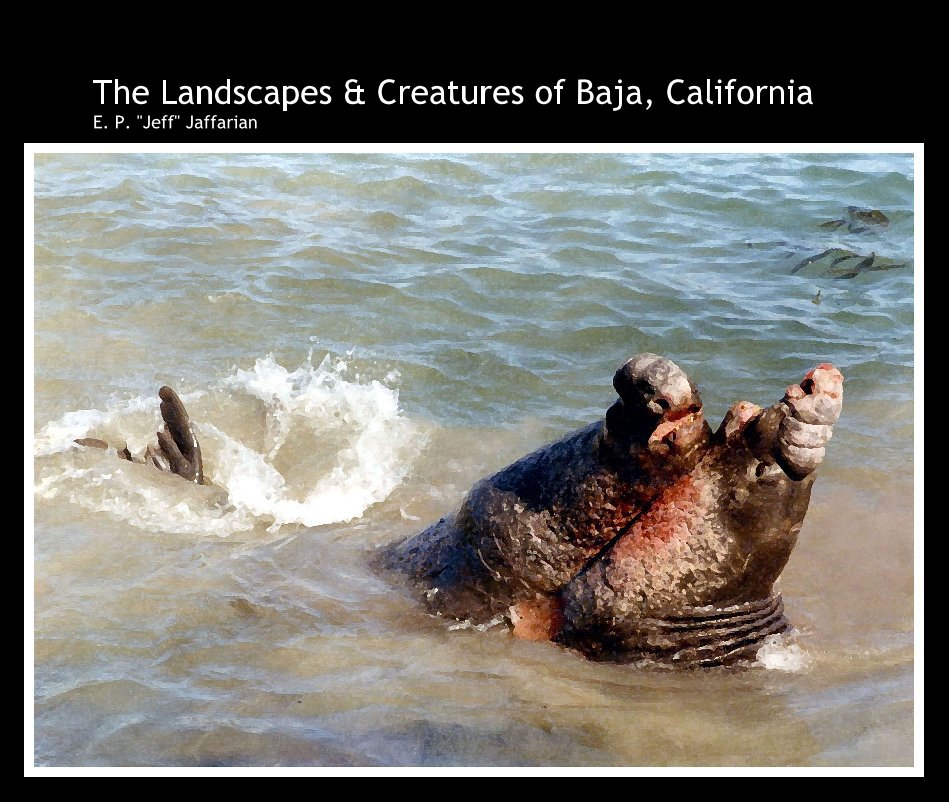 Ver The Landscapes & Creatures of Baja, California E. P. "Jeff" Jaffarian por Jaffarian