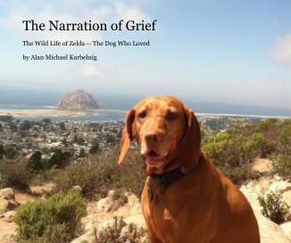The Narration of Grief book cover
