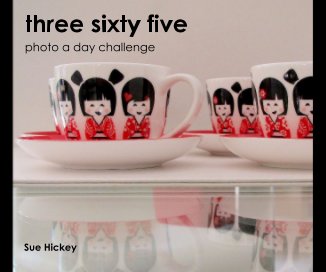 three sixty five book cover