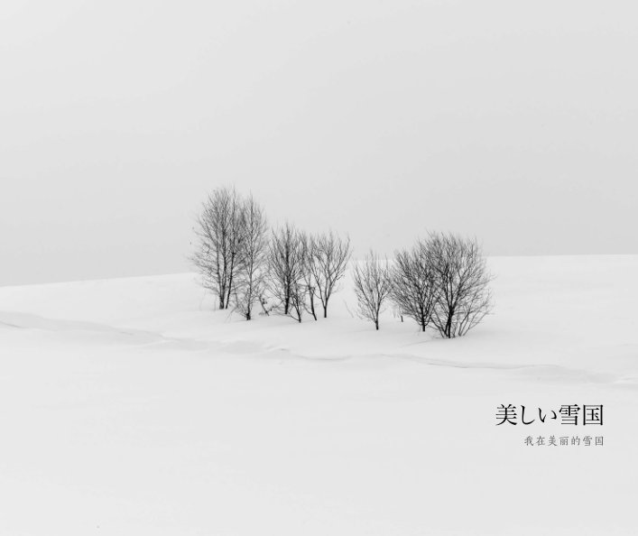 View 美しい雪国 by Chris Yuan