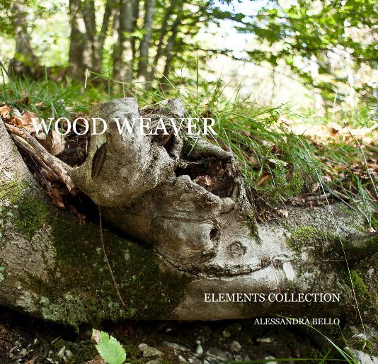 View WOOD WEAVER by ALESSANDRA BELLO