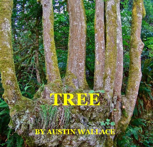 View TREE by AUSTIN WALLACE