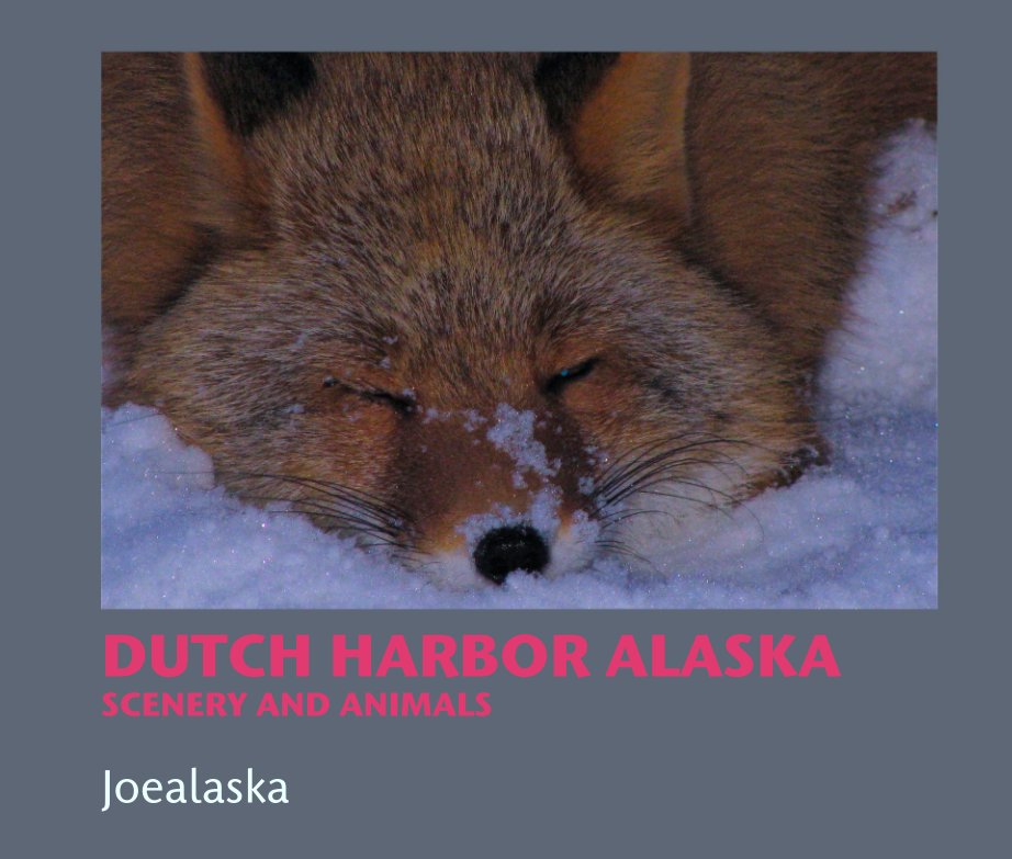 View DUTCH HARBOR ALASKA
SCENERY AND ANIMALS by Joealaska