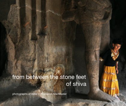 from between the stone feet of shiva book cover