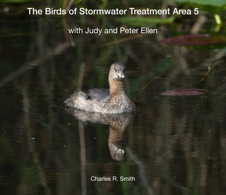 Ver The Birds of Stormwater Treatment Area 5 por Charles R. Smith