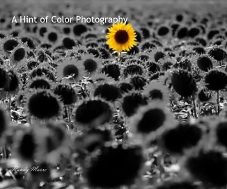 A Hint of Color Photography book cover