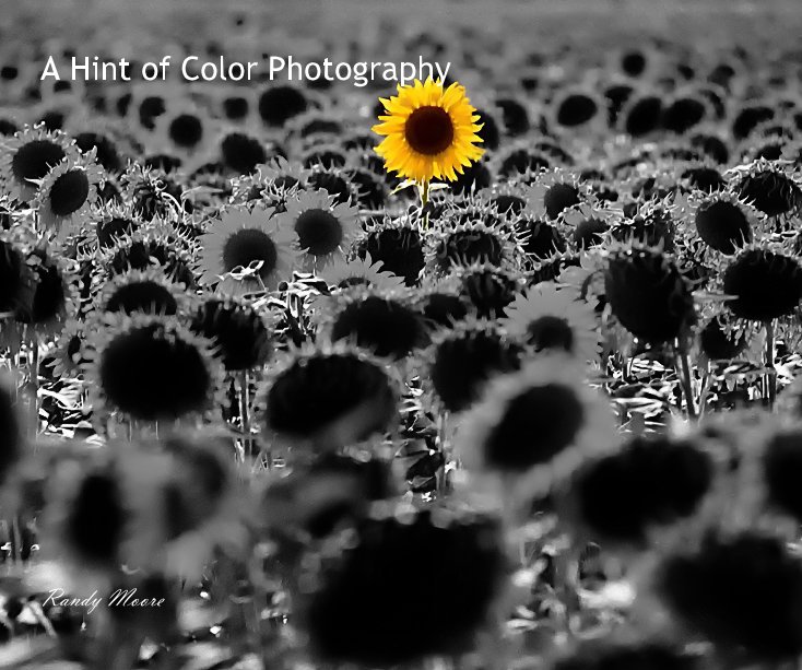 View A Hint of Color Photography by Randy Moore