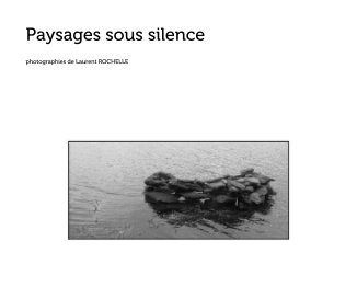 Paysages sous silence book cover