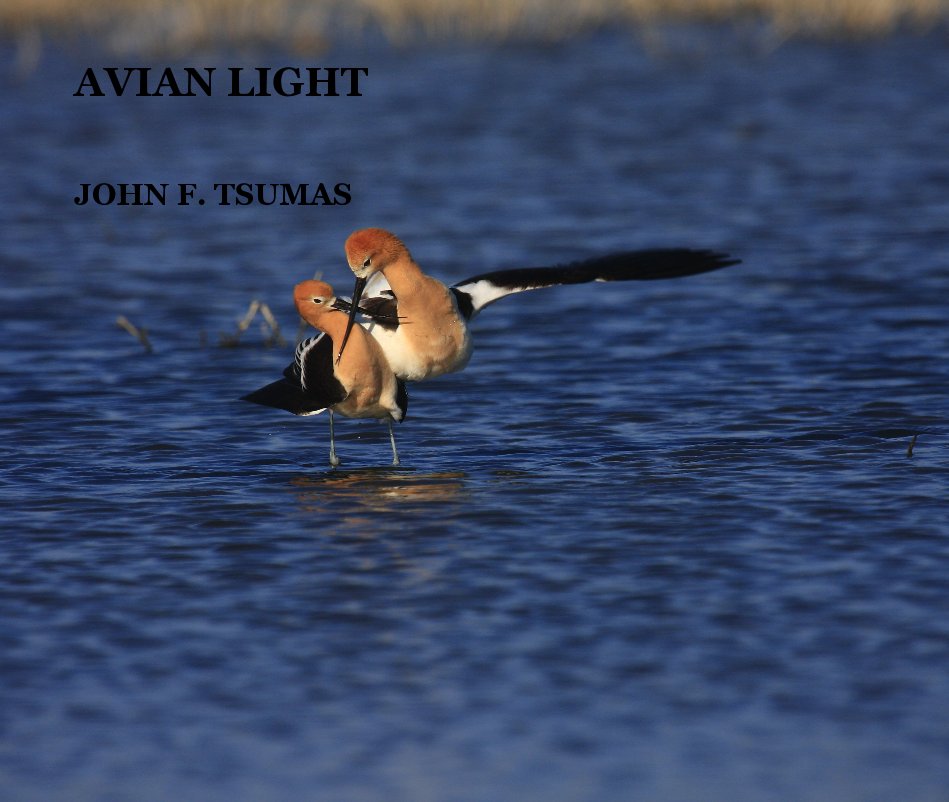 Ver AVIAN LIGHT por JOHN F. TSUMAS