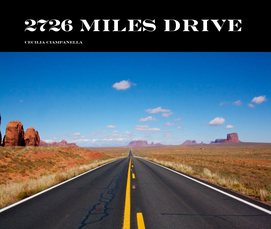 View 2726 miles drive by Cecilia Ciampanella