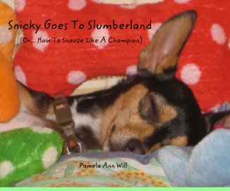 Snicky Goes To Slumberland book cover