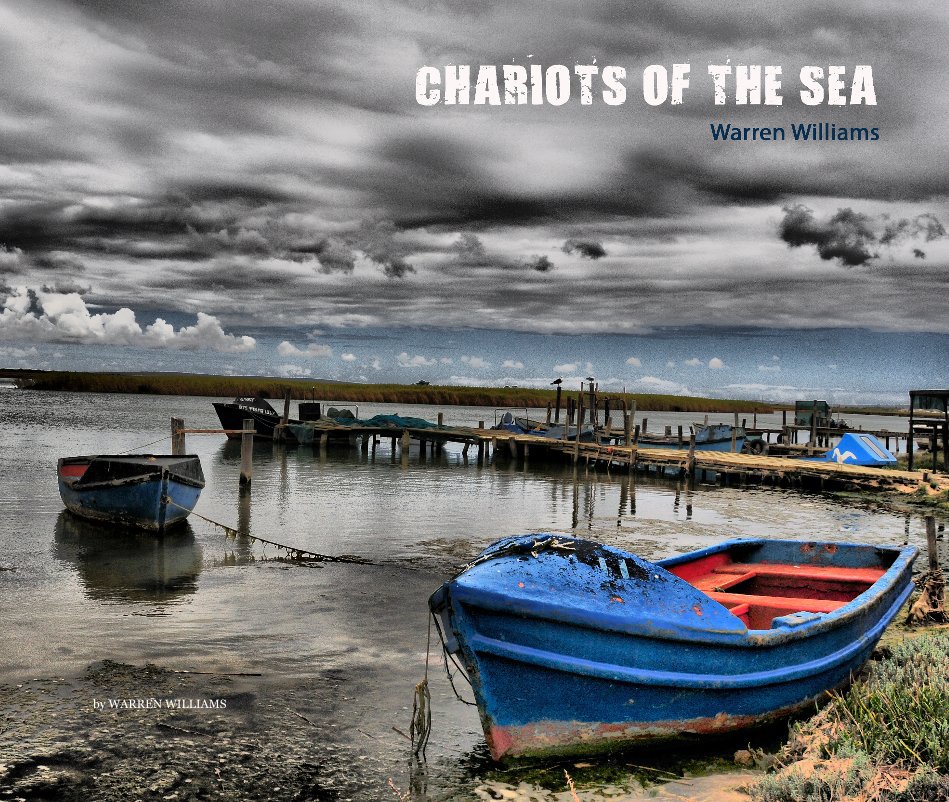 View Chariots of the Sea by WARREN WILLIAMS