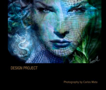 DESIGN PROJECT book cover