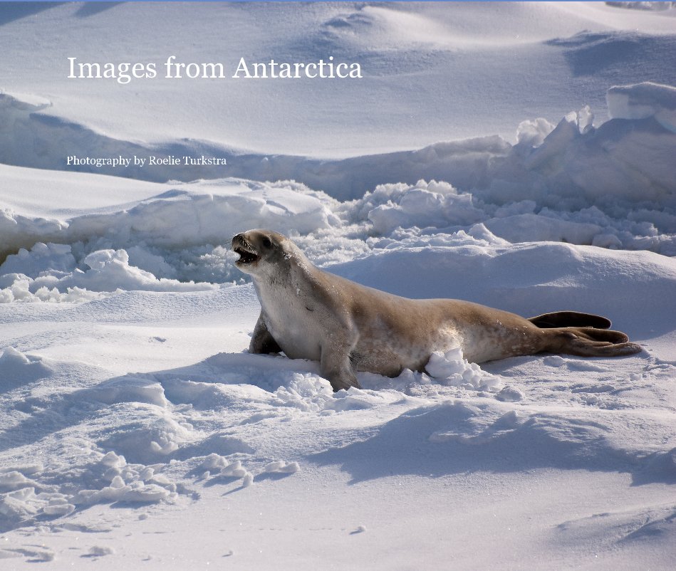 Bekijk Images from Antarctica op Photography by Roelie Turkstra