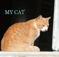 MY CAT book cover