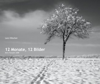 Lars Hilscher 12 Monate, 12 Bilder book cover