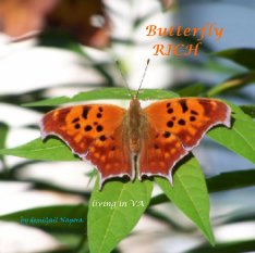 Butterfly                  RICH book cover