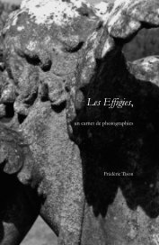 Les Effigies, un carnet de photographies Frédéric Tison book cover