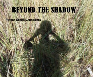 BEYOND THE SHADOW book cover