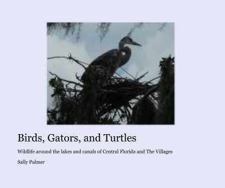 Birds, Gators, and Turtles book cover