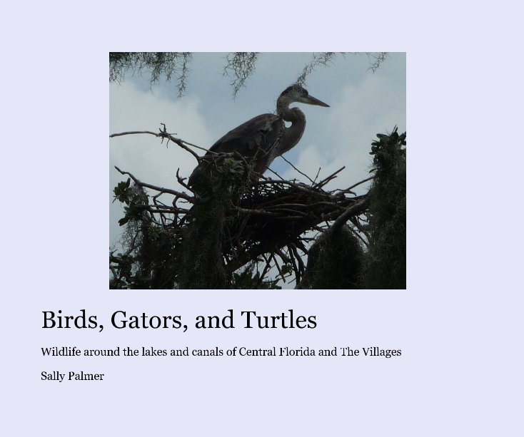 Ver Birds, Gators, and Turtles por Sally Palmer