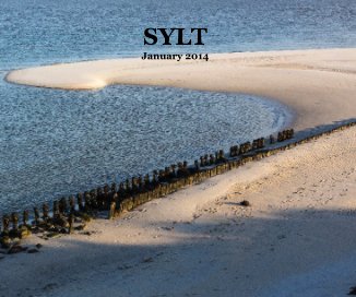 SYLT January 2014 book cover