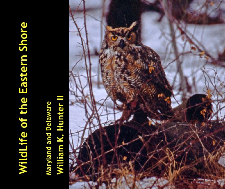 View WildLife of the Eastern Shore by William K. Hunter II