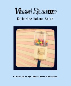 Visual Resume book cover