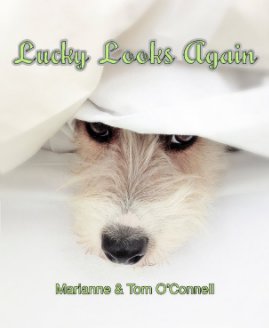 Lucky Looks Again book cover