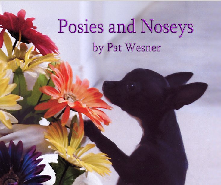 View Posies and Noseys by Pat Wesner