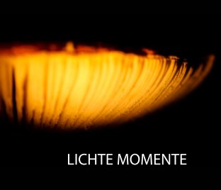 LICHTE MOMENTE book cover