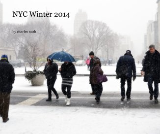 NYC Winter 2014 book cover