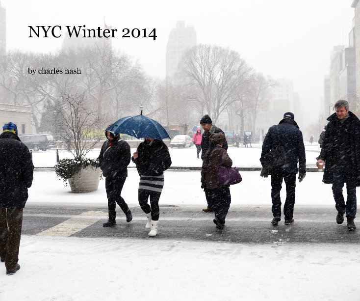 Visualizza NYC Winter 2014 di charles nash